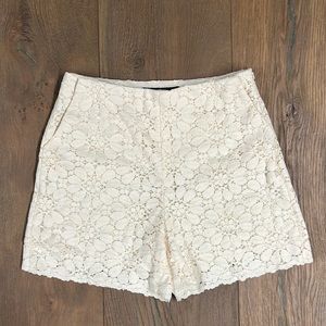 Zara Lace Shorts- NWOT!